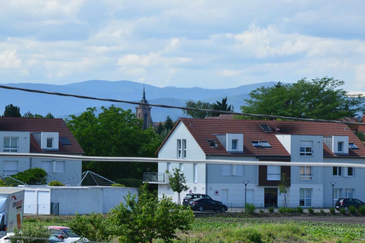 Gite Du Neuland Colmar Exterior photo